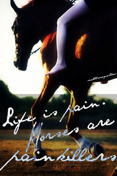 Life is pain. Horse are pain killers. More