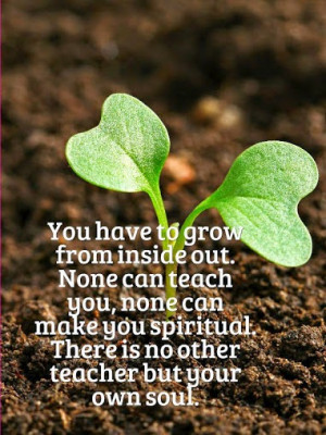 You have to #grow from inside out. None can teach you, none can make ...