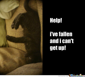 Help! I've Fallen And I Can't Get Up!