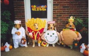 The 57 Greatest Pet Costumes EVER