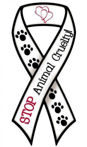 3,500 Rewards Offered in Case of Dog Skinned Alive