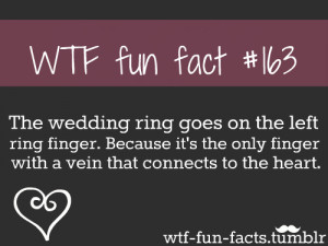 Random WTF Fun Fact
