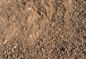 Searched Term: dirt bike racing quotes sayings