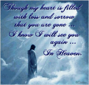 ... your loss....Thinking of you and your family during this hard time