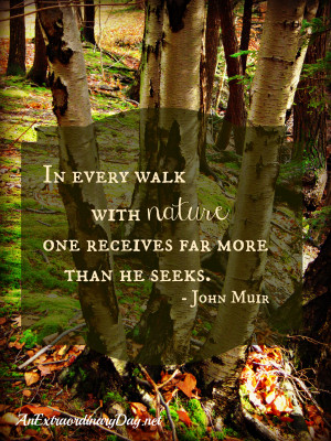 ... Nature – In every walk with nature one receives far more than he