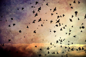 Plano de fundo para twitter.