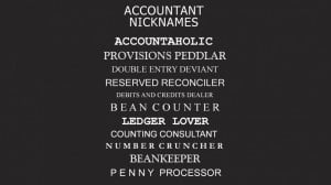 Accountant Nicknames accountant accounting degree