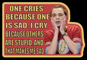 Great Quotes from Sheldon Cooper