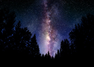 خود ساخته‌ها و خود آفریده‌های زرتشت