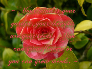 Mind is your garden quote