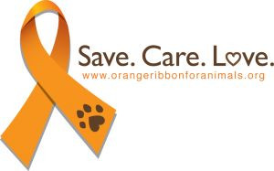 ... Animals Month! Let's GO ORANGE and take a stand against animal cruelty