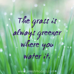 Home » Quotes » The grass is greener where you water it. Stay pHresh ...