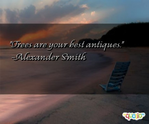 Trees are your best antiques .