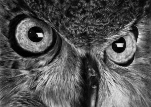 Browse Art Drawing Aga...