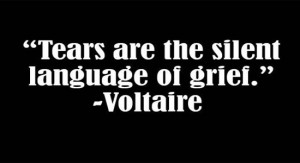 Voltaire-Quotes.jpg