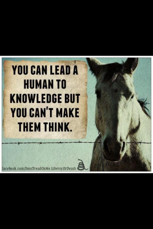 Pinned by Jacque Keller