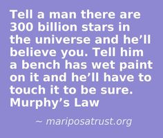 Murphys Law #Quote #Funny #Stars #Truth More