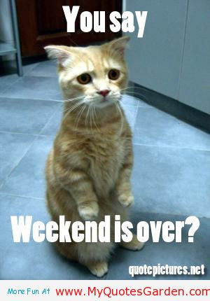 Goodmorning Monday Friends (page 2)