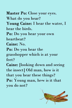 Kung Fu Grasshopper Quotes