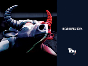 You are viewing the Houston Texans wallpaper named Houston Texans Bull ...