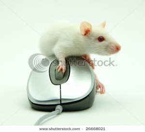 ... Mouse funny pictures, Computer Mouse funny pic, Computer Mouse funny