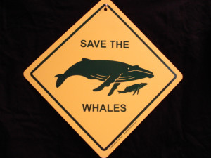ENLARGE - Save the Whales Sign - Cute Ecology Environment Wildlife ...