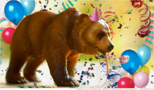 Current Stock M Prices