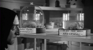 Young Frankenstein by Mel Brooks: Movie Frames, Mel Brooks, Del Humor ...