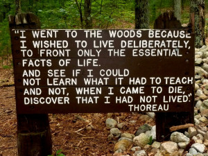 Quote from Walden by Henry David Thoreau.