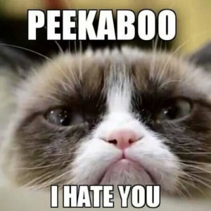 don't hate you, Grumpy! Peekaboo!!!