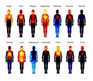 New Study Shows How Emotions Affect The Human Body