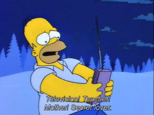 top-100-simpsons-quotes-100-pics_81.jpg