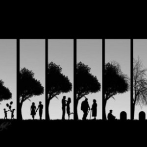 Pinned by Brenda Cross Lampton