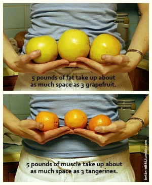 fat-vs-muscle2