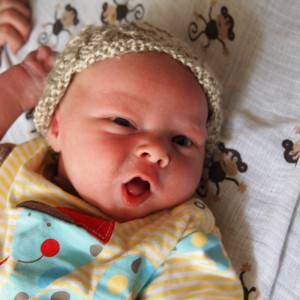 Plethora Pennies Modicum Sense Funny Stupid Customer