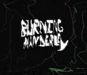 Burning Manderley Artwork Image