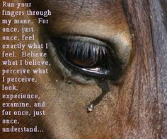 Horses truly are very sensitive creatures - we have to learn to listen ...