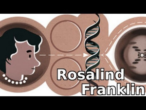 Google Doodle featured Rosalind Franklin on what would have been her ...