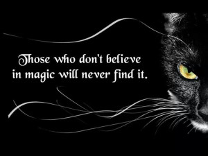 Do you believe in magic