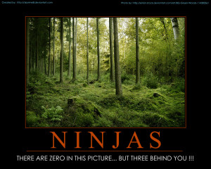 Ninjas Motivational Poster...