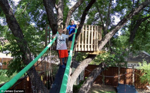 awesome tree house building