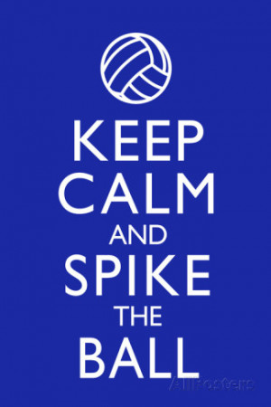 volleyball quotes and sayings for posters