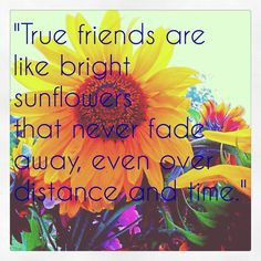 Friendship quote My photo and edit. Corinne© More