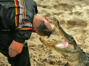 First Freestyle Alligator Wrestling Championship - PHOTOS