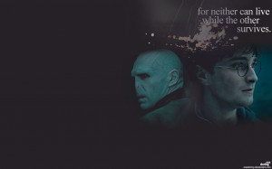 Harry Potter Harry and Voldemort - Deathly Hallows