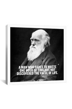 well. I just got told, by Charles Darwin, as I sit browsing pinterest ...