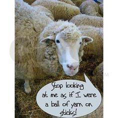 knitting jokes ball stick crochet funni greeting cards knit alpaca ...