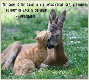 Home » Quotes » The Soul Is Same In All Living Creature
