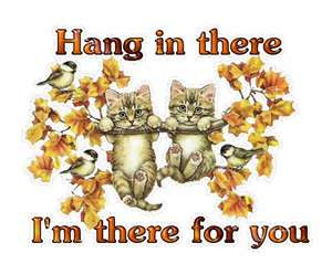 hang in there 4fd79bad1f1a044cfb5b704663e666da