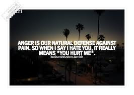 ... When I Say I Hate You. It Really Means ”You Hurt Me” ~ Love Quote